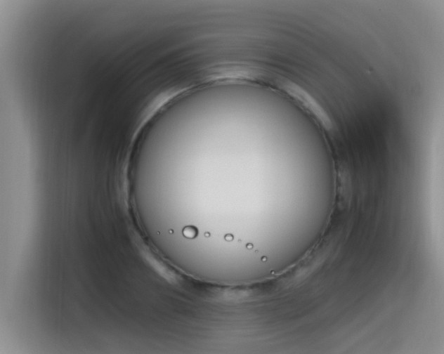 X0000115350890200911101134