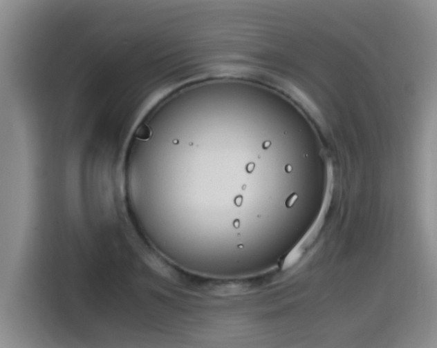 X0000115350891200911101134