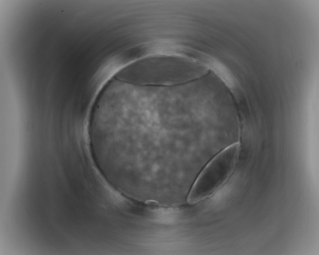 X0000115350893200911101134