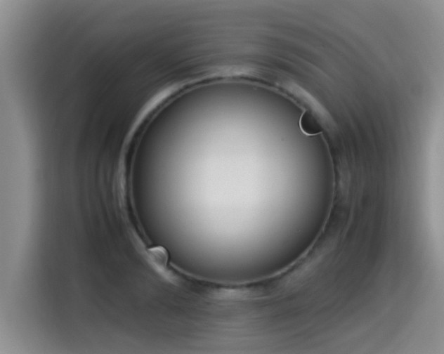 X0000115350894200911101134