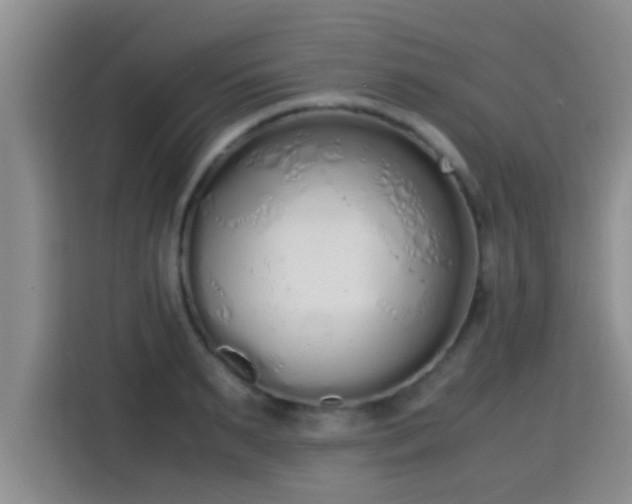X0000115350895200911101134