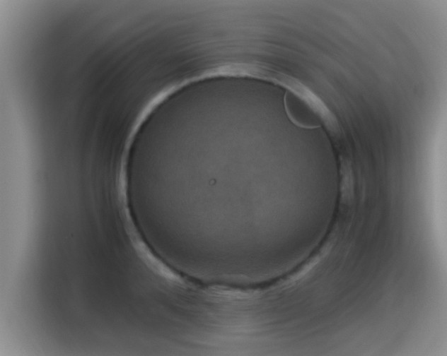 X0000115350896200911101134
