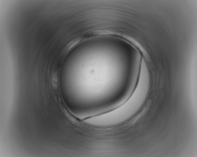 X0000115350897200911101134