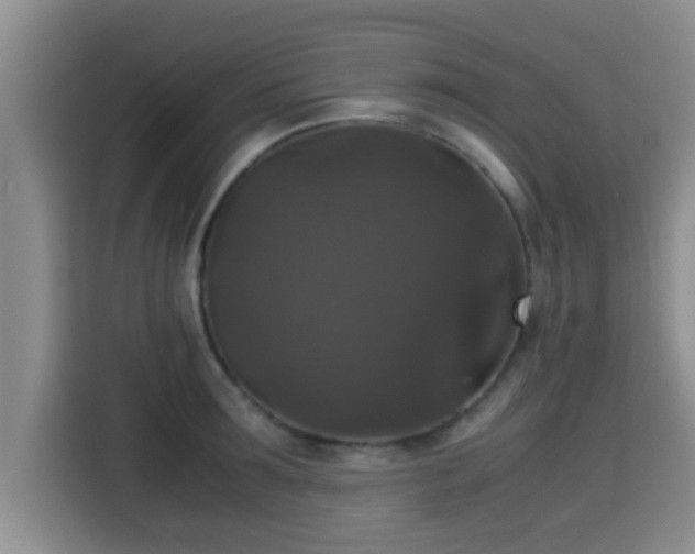 X0000115350899200911101134