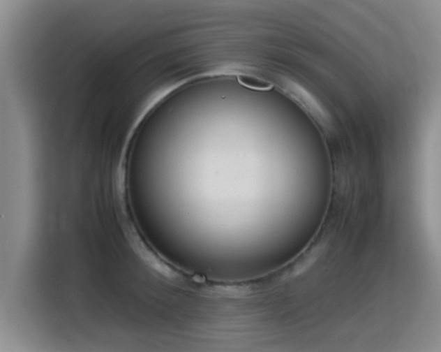 X0000115350900200911101134