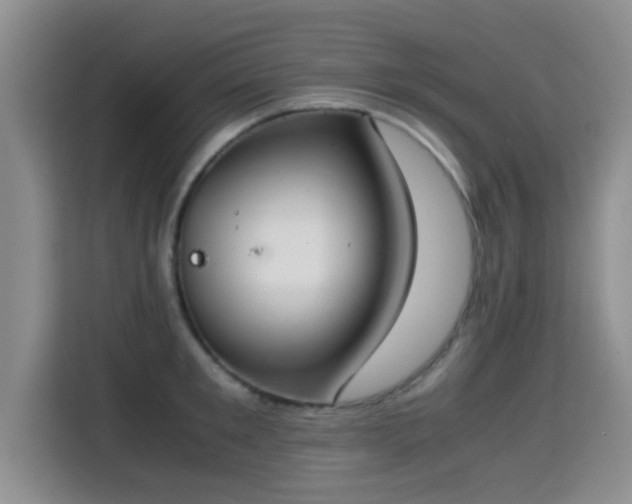 X0000115350901200911101134