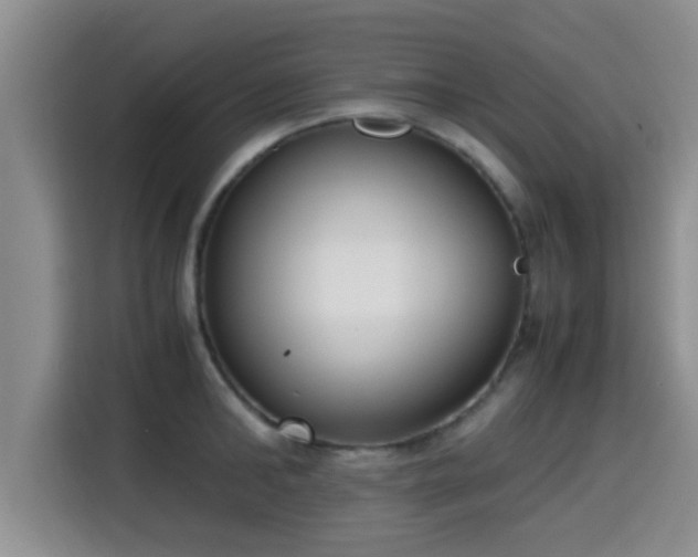X0000115350902200911101134