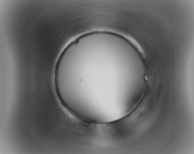 X0000115350903200911101134