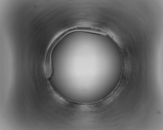 X0000115350904200911101134