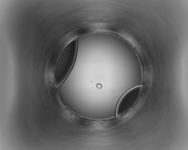 X0000115350905200911101134