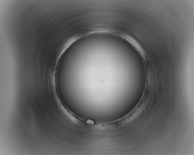 X0000115350906200911101134