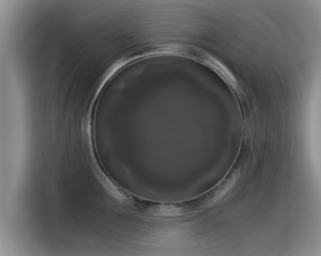 X0000115350907200911101134