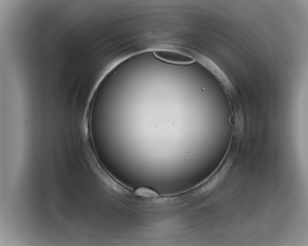 X0000115350908200911101134