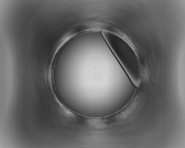 X0000115350909200911101134
