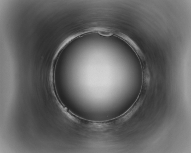 X0000115350910200911101134