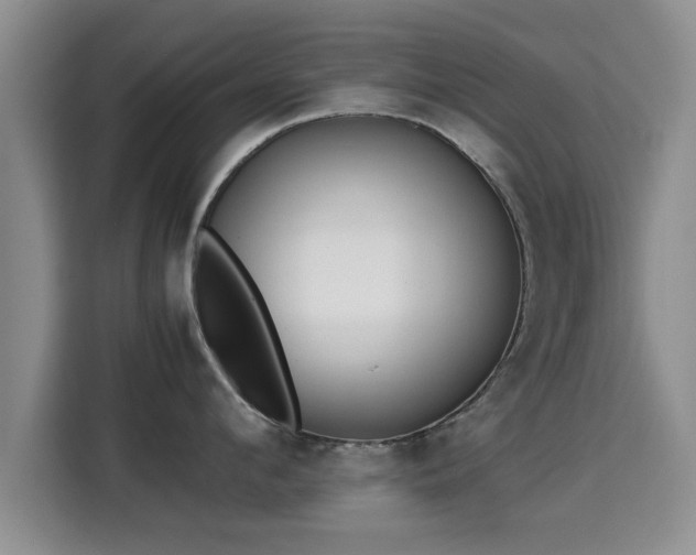 X0000115350912200911101134