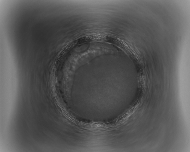 X0000115350913200911101133