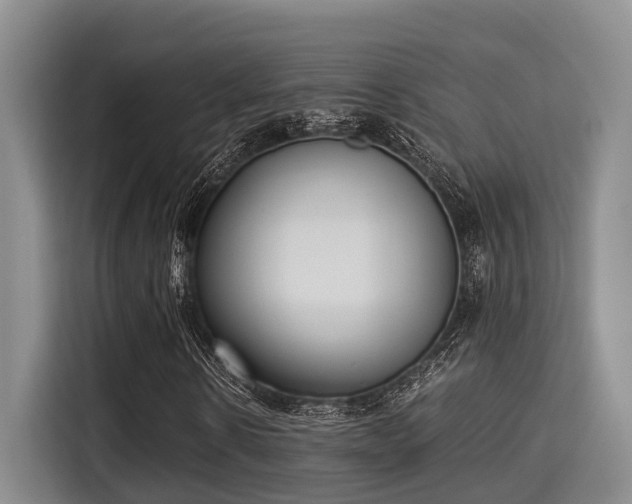 X0000115350914200911101133
