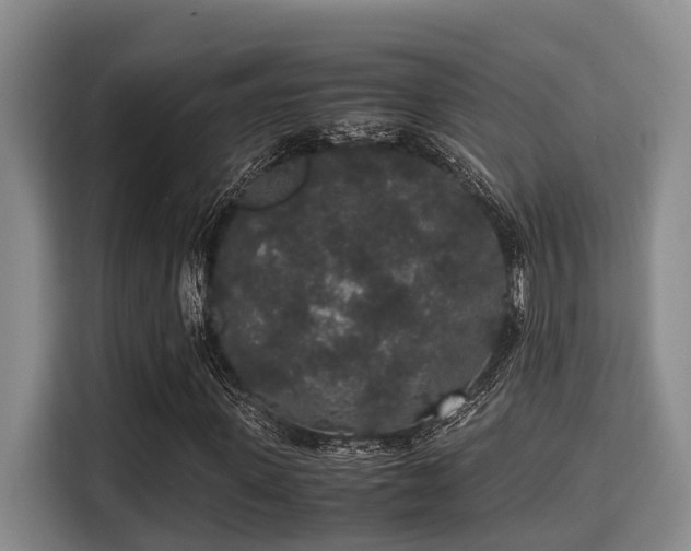 X0000115350915200911101133