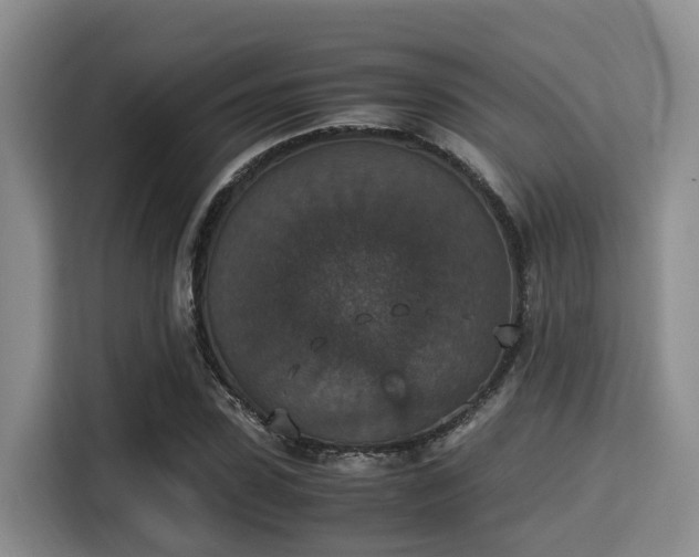 X0000115350923200911101133