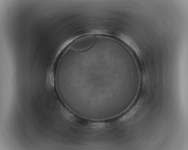X0000115350925200911101133