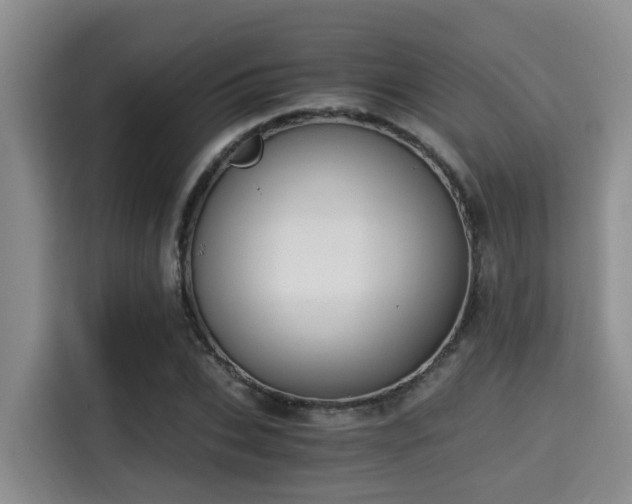 X0000115350927200911101133
