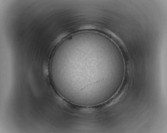 X0000115350929200911101133