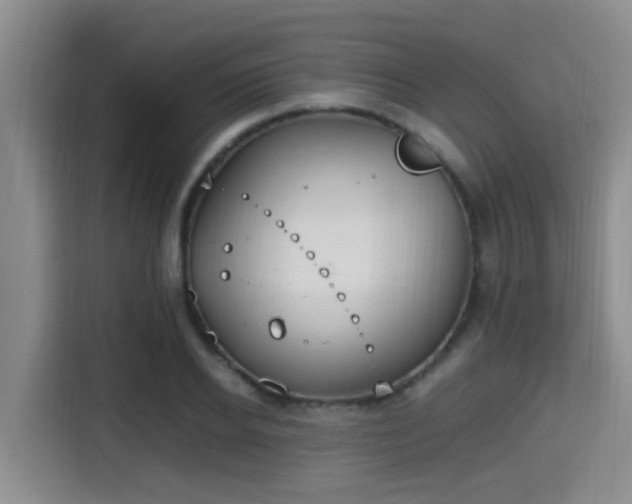 X0000115350934200911101133