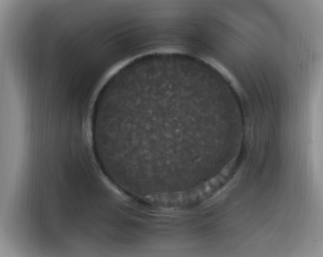 X0000115350935200911101133