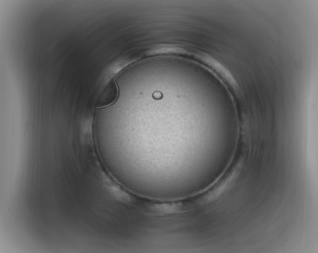 X0000115350937200911101133