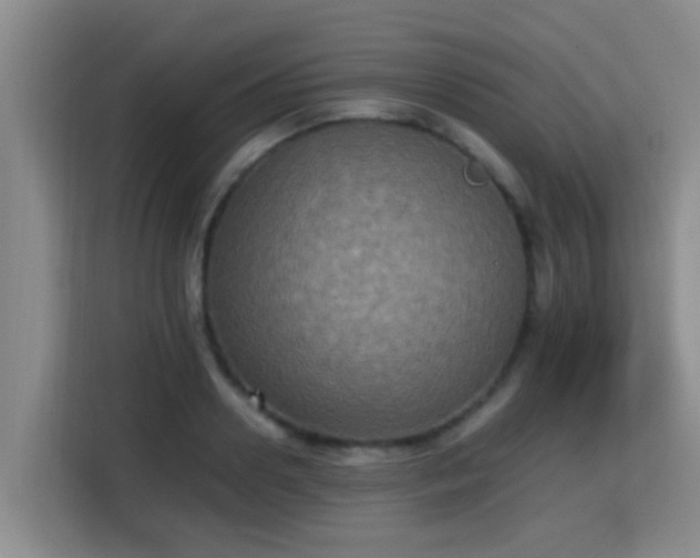 X0000115350938200911101133