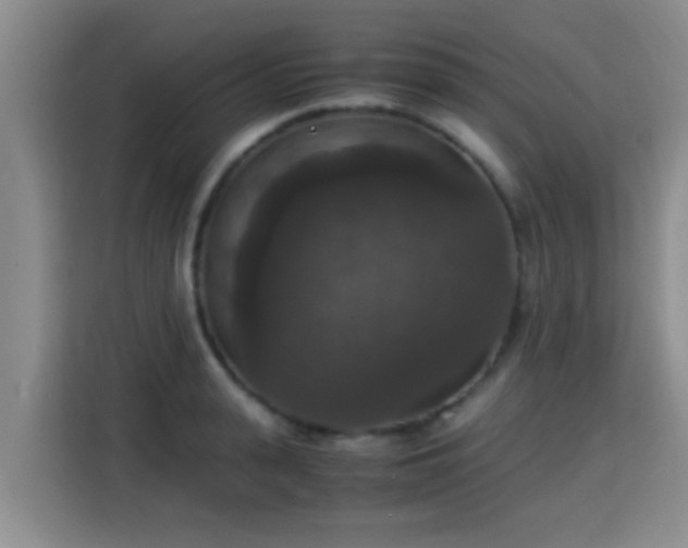 X0000115350943200911101133