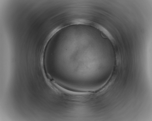 X0000115350946200911101133