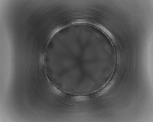 X0000115350953200911101133