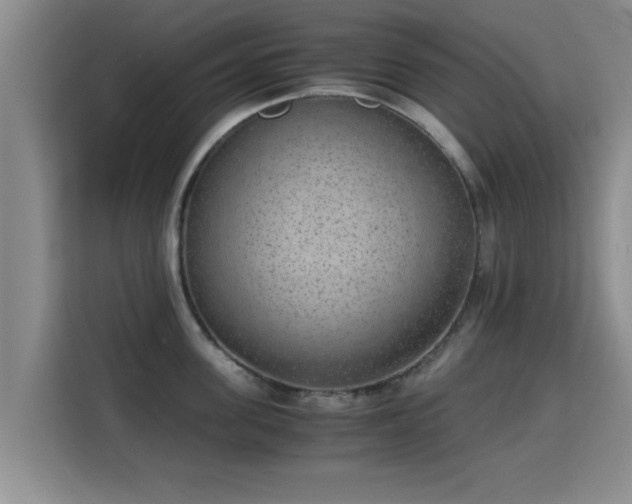 X0000115350955200911101133
