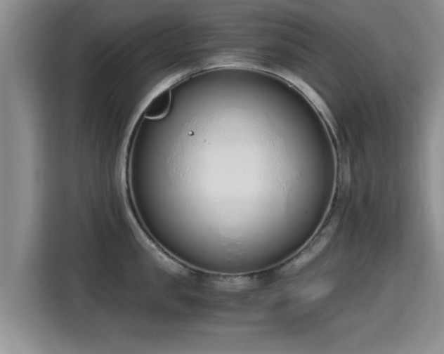 X0000115350957200911101133