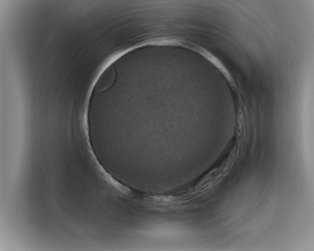 X0000115350959200911101133