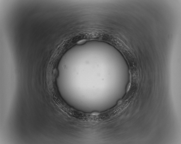 X0000115350961200911101133