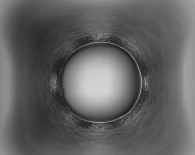 X0000115350963200911101133