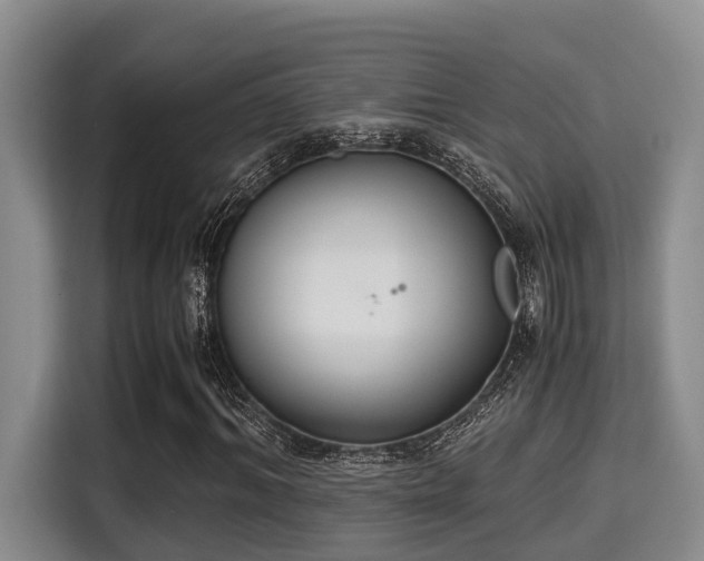 X0000115350964200911101133