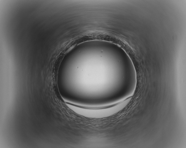 X0000115350965200911101133