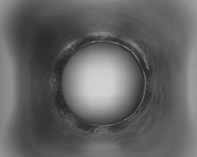X0000115350967200911101133