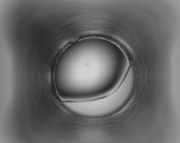 X0000115350969200911101133