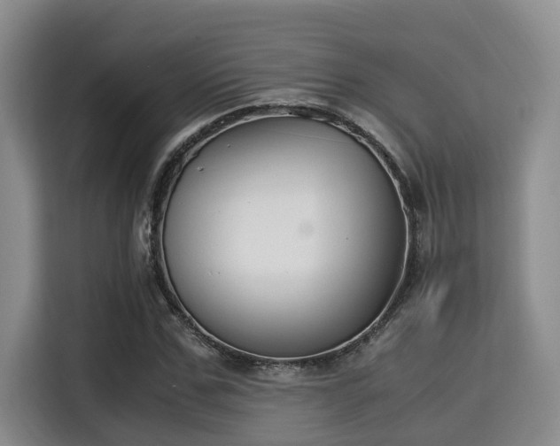 X0000115350971200911101133