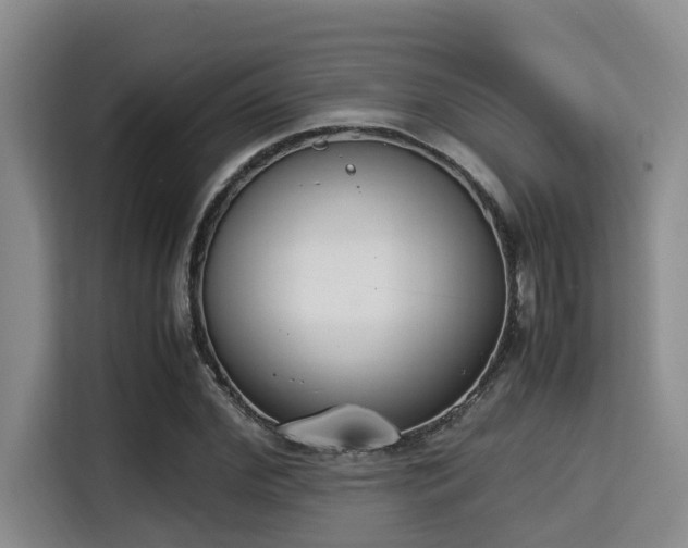 X0000115350972200911101133