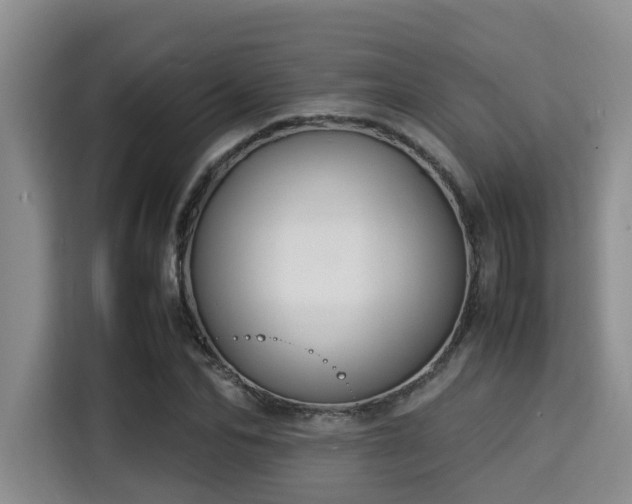X0000115350974200911101133