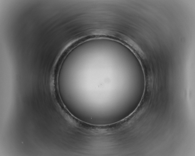 X0000115350976200911101133