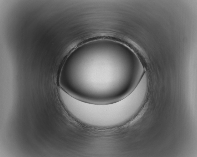 X0000115350977200911101133