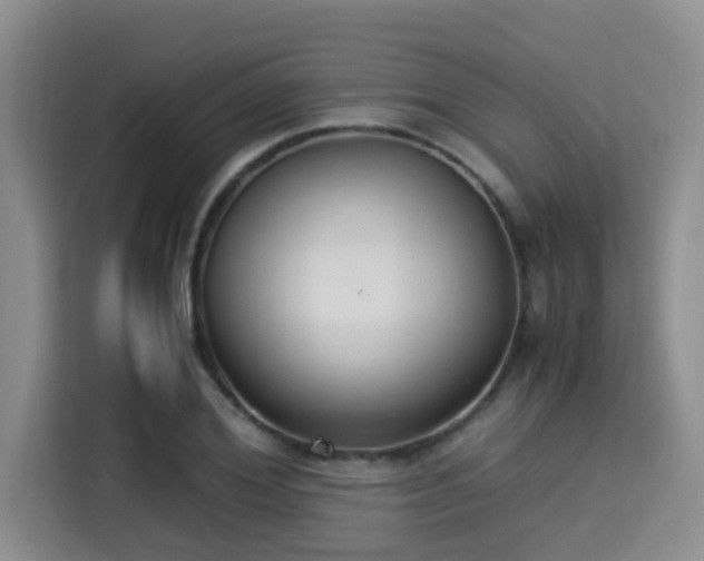 X0000115350980200911101133