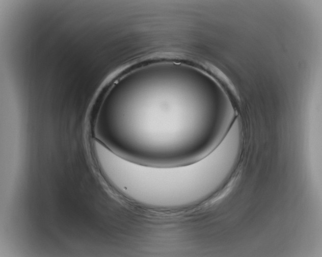 X0000115350981200911101133